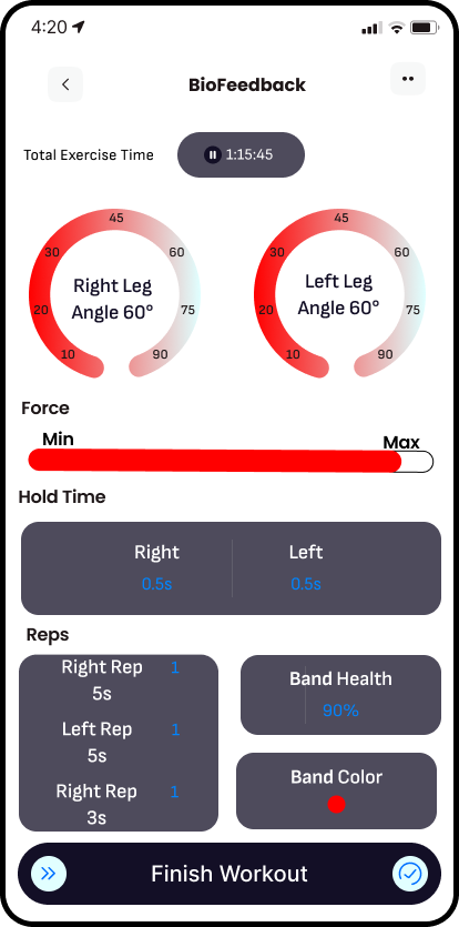 Digiband App Interface